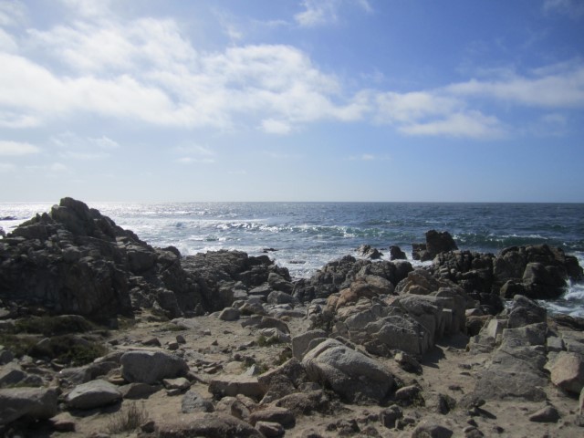 IMG_1227.JPG